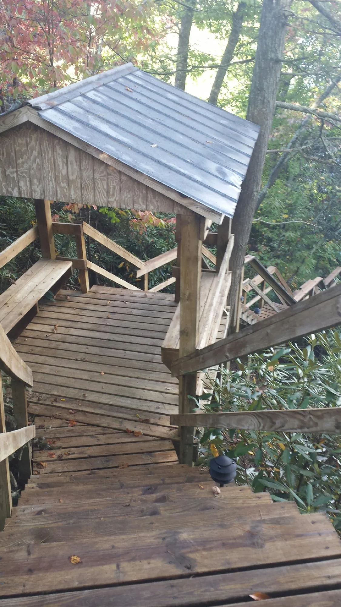 Metal roofed shelter over wooden steps on a wooded walkway — Skylight Repair & Installation work by our crew in Hopwood